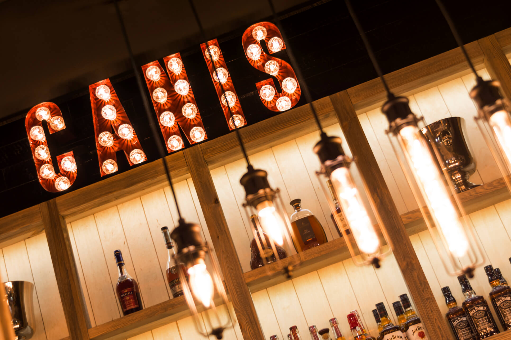 Canis - letters with retro-style bulbs